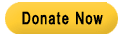 donate now to sarcoma warrirors of the upstate